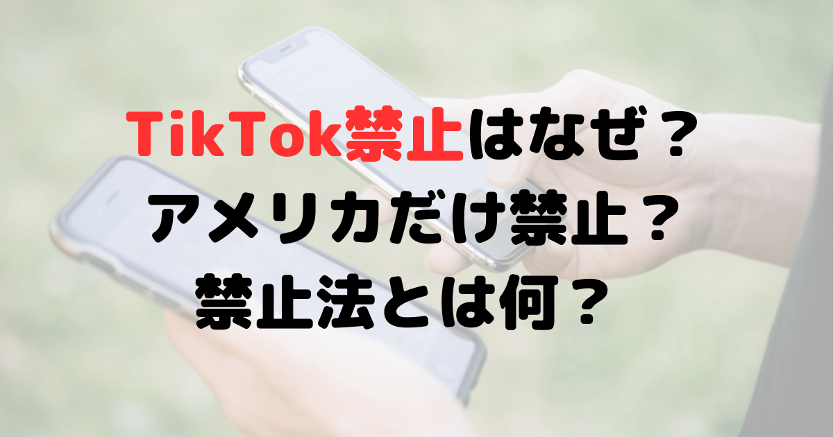 TikTok禁止はなぜ？禁止の国はアメリカだけ？禁止法とは何？