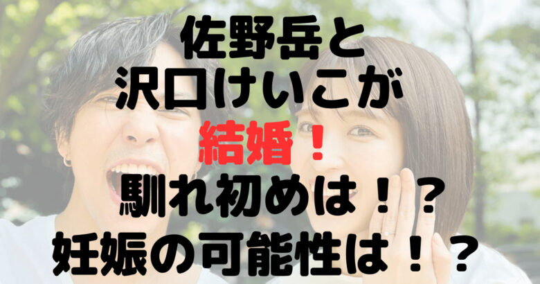 佐野岳と沢口けいこの馴れ初めは？子供は？妊娠の可能性についても！